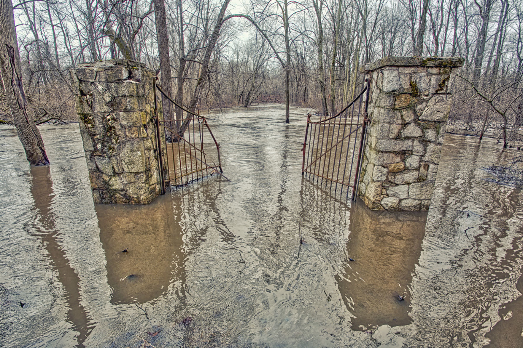 Flood